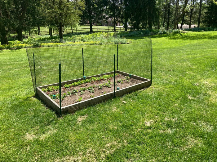 乙烯涂层电焊网